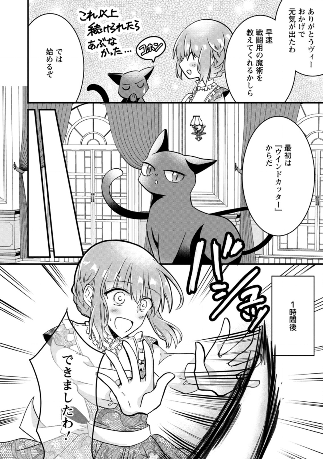 地味姫と黒猫の、円満な婚約破棄 第3.2話 - Page 11