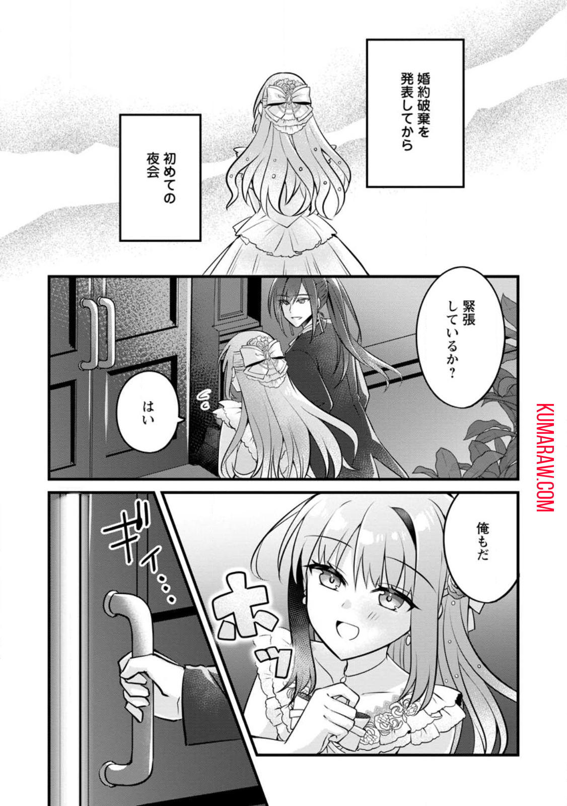 地味姫と黒猫の、円満な婚約破棄 第31.1話 - Page 1