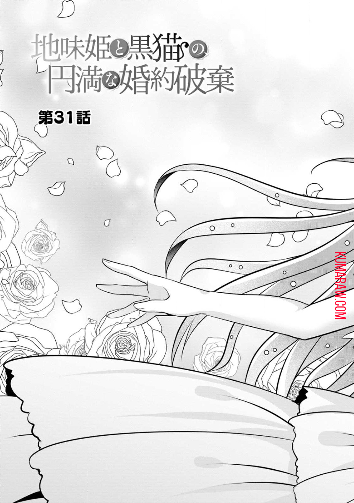 地味姫と黒猫の、円満な婚約破棄 第31.1話 - Page 3