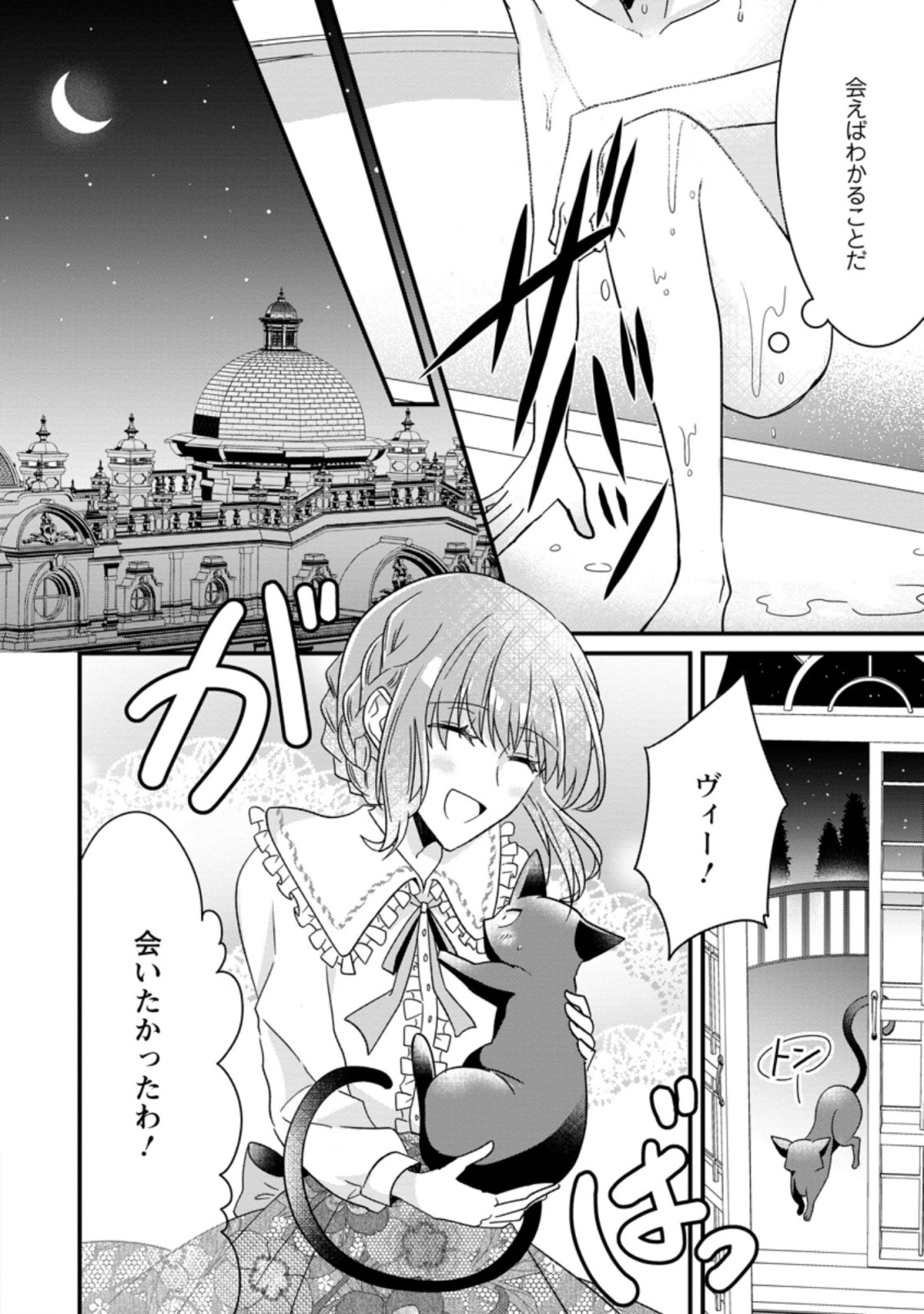 地味姫と黒猫の、円満な婚約破棄 第5.1話 - Page 8