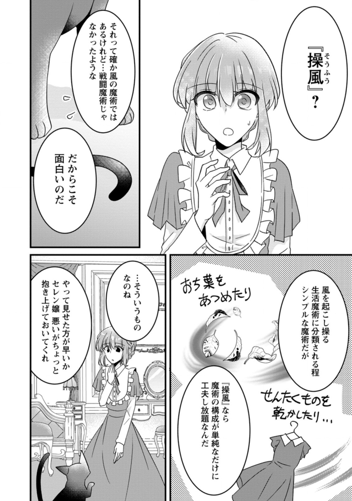 地味姫と黒猫の、円満な婚約破棄 第7.2話 - Page 5