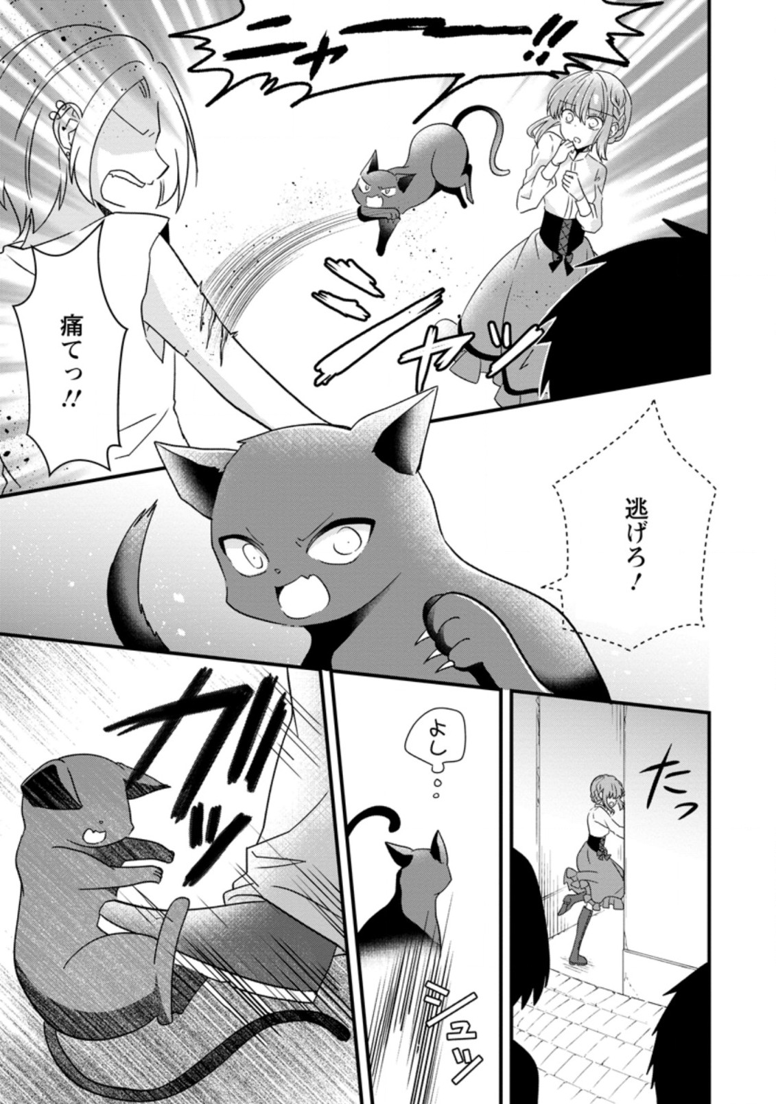 地味姫と黒猫の、円満な婚約破棄 第9.1話 - Page 3