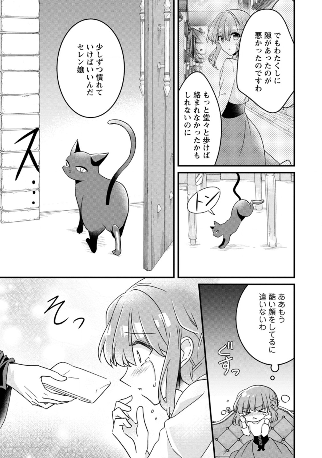 地味姫と黒猫の、円満な婚約破棄 第9.1話 - Page 7