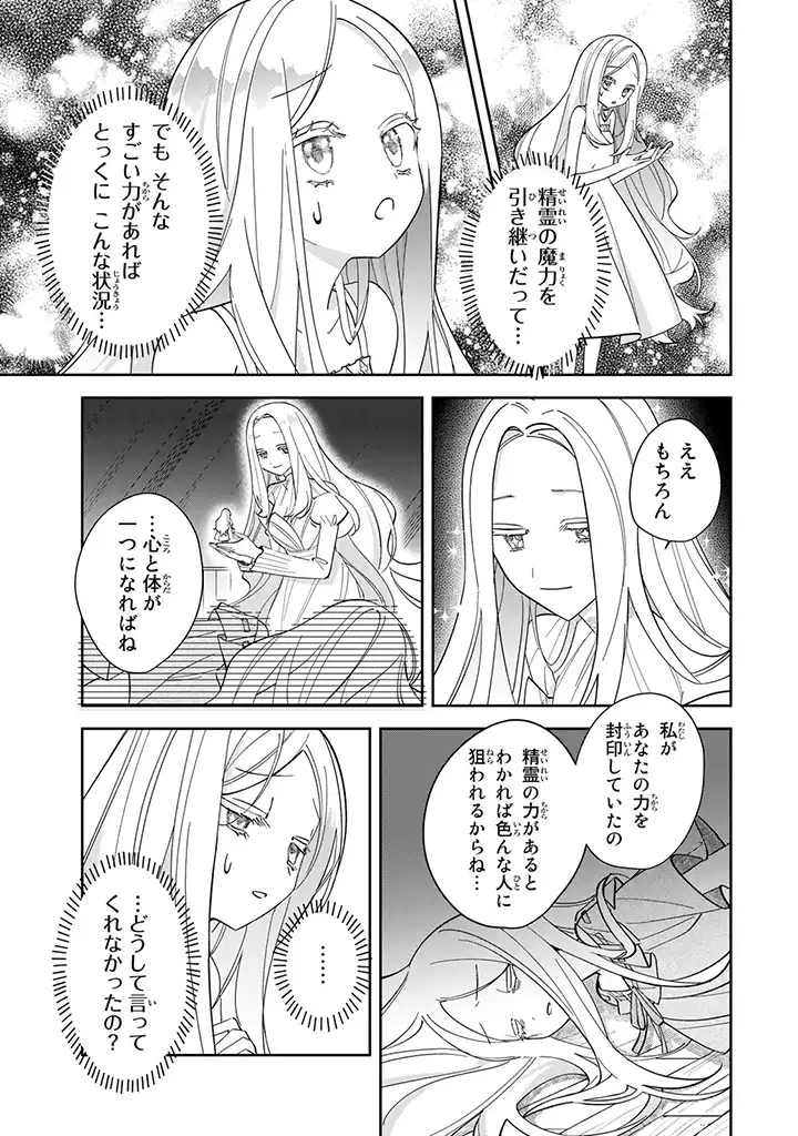 自由気ままな精霊姫 第1.4話 - Page 9