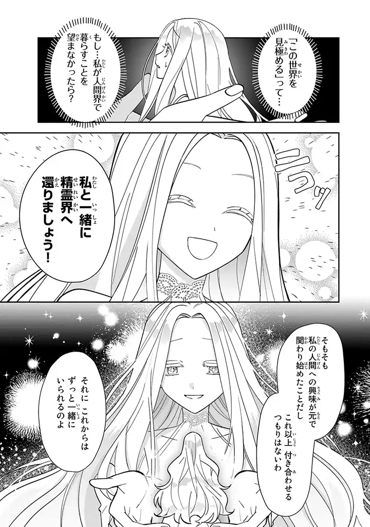 自由気ままな精霊姫 第1.4話 - Page 10