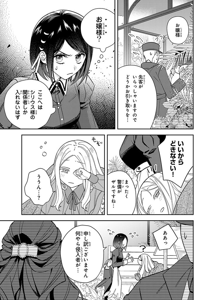 自由気ままな精霊姫 第11.3話 - Page 8