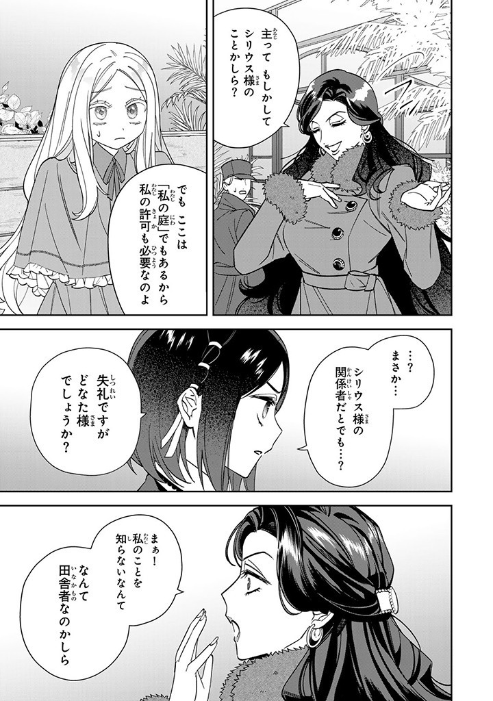 自由気ままな精霊姫 第11.3話 - Page 10