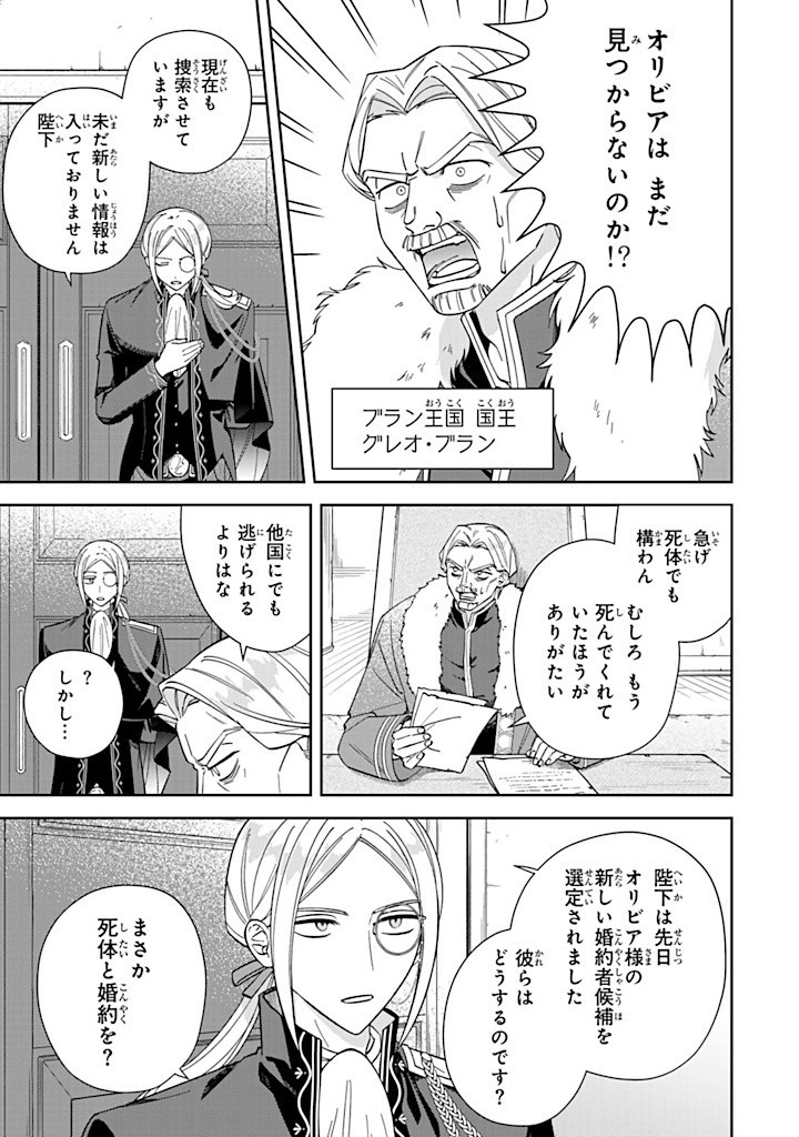 自由気ままな精霊姫 第13.1話 - Page 5