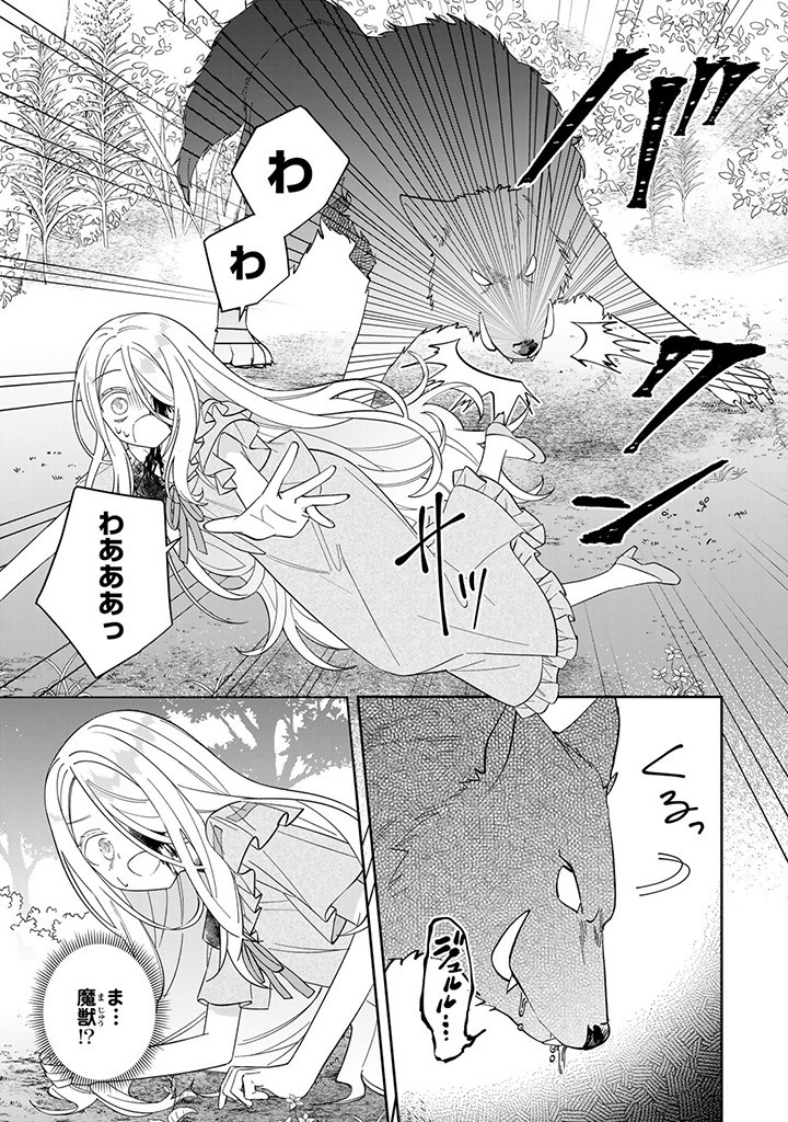 自由気ままな精霊姫 第4.1話 - Page 9