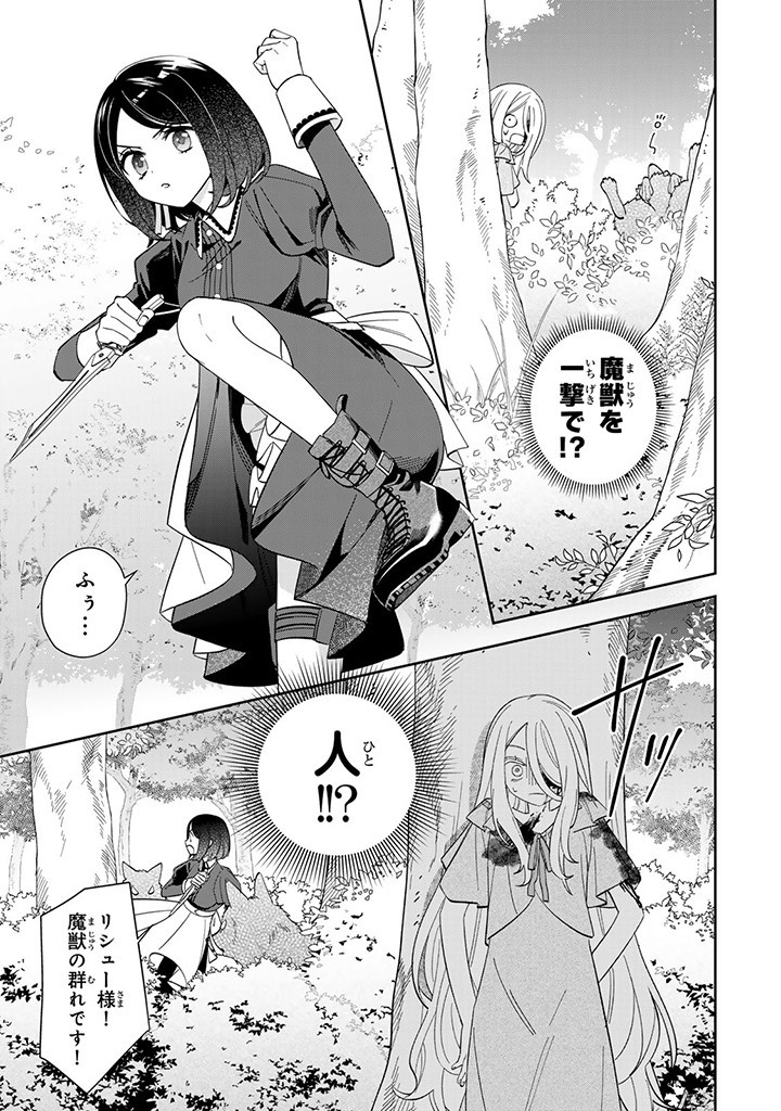 自由気ままな精霊姫 第4.2話 - Page 8