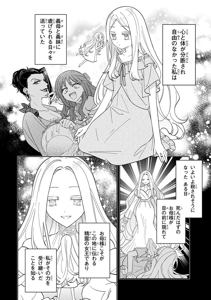 自由気ままな精霊姫 第6.1話 - Page 3