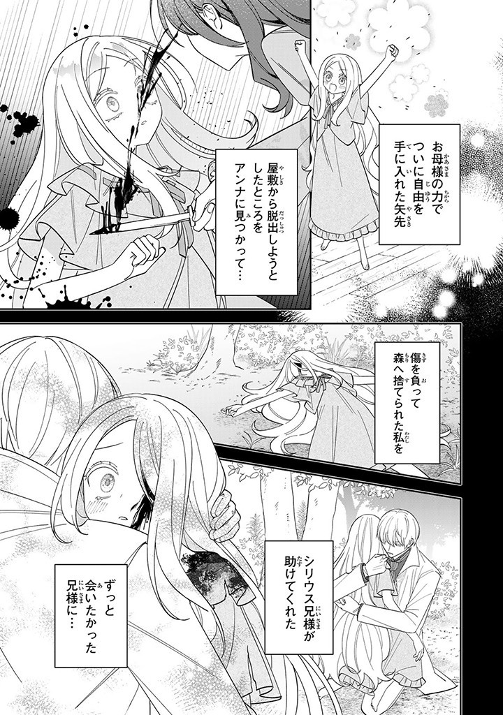 自由気ままな精霊姫 第6.1話 - Page 4