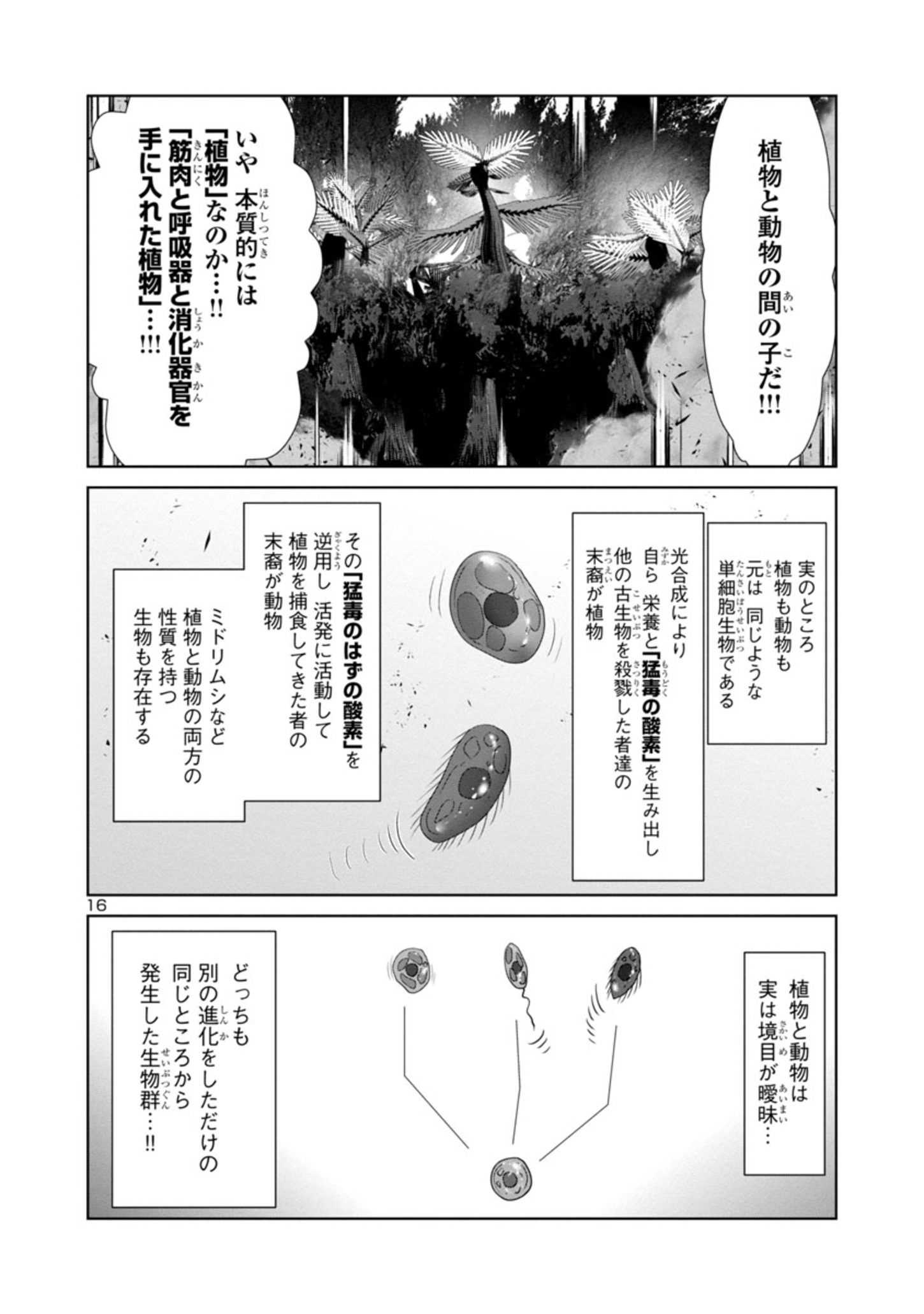 科学的に存在しうるクリーチャー娘の観察日誌 第58話 - Page 17