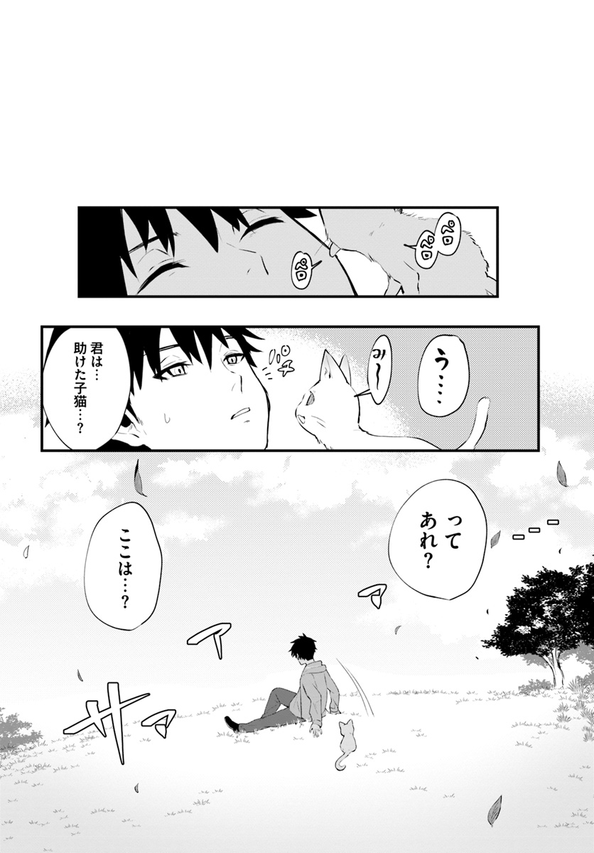 神猫ミーちゃんと猫用品召喚師の異世界奮闘記 第1話 - Page 10