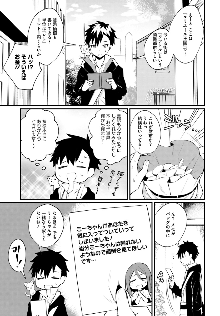 神猫ミーちゃんと猫用品召喚師の異世界奮闘記 第1話 - Page 19