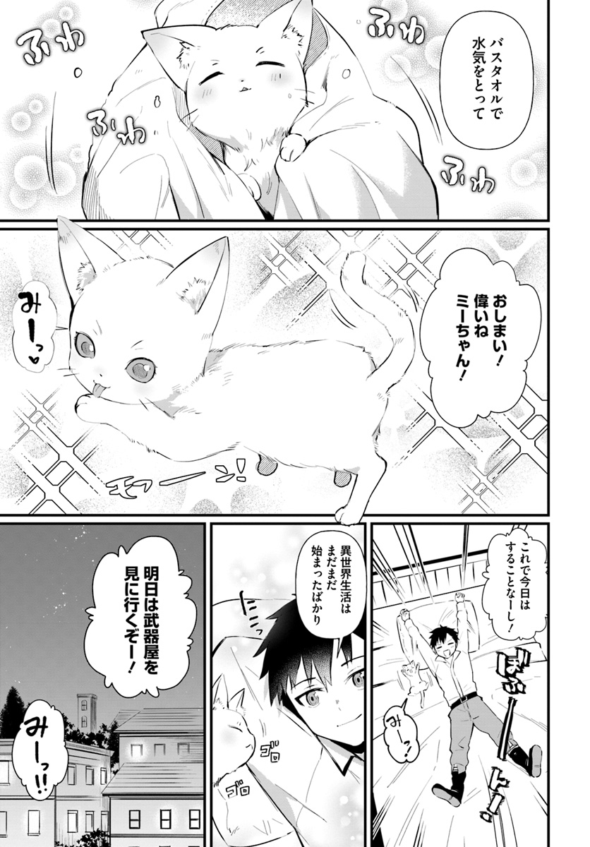 神猫ミーちゃんと猫用品召喚師の異世界奮闘記 第1話 - Page 29