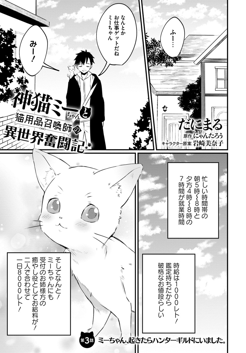 神猫ミーちゃんと猫用品召喚師の異世界奮闘記 第3話 - Page 1