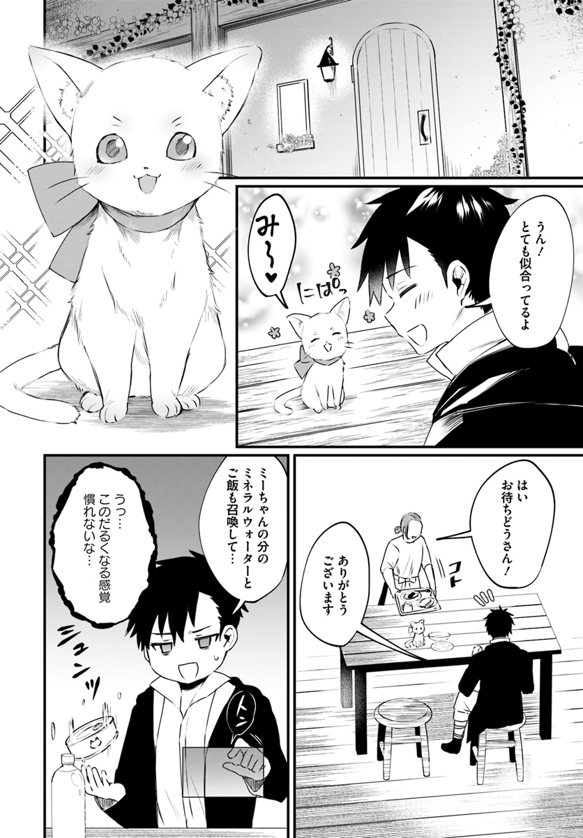 神猫ミーちゃんと猫用品召喚師の異世界奮闘記 第3話 - Page 6