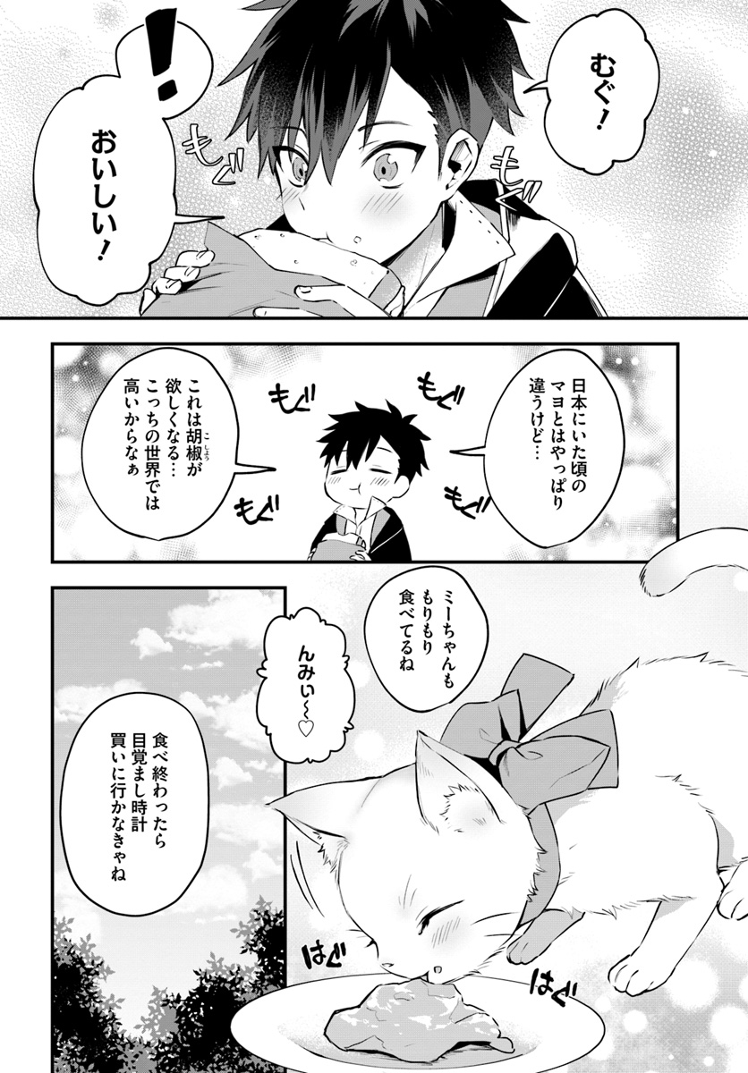 神猫ミーちゃんと猫用品召喚師の異世界奮闘記 第4話 - Page 12