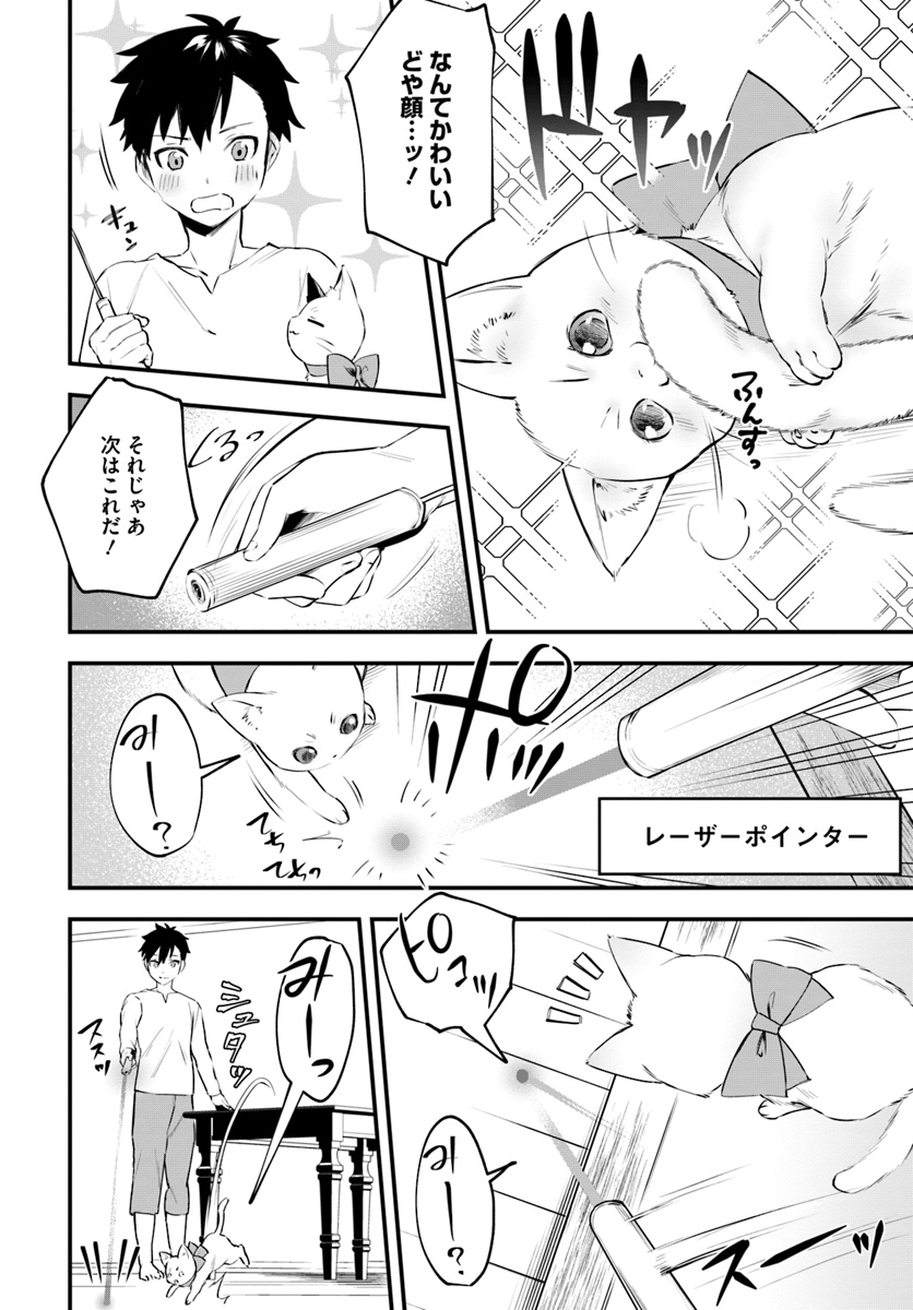 神猫ミーちゃんと猫用品召喚師の異世界奮闘記 第7話 - Page 10