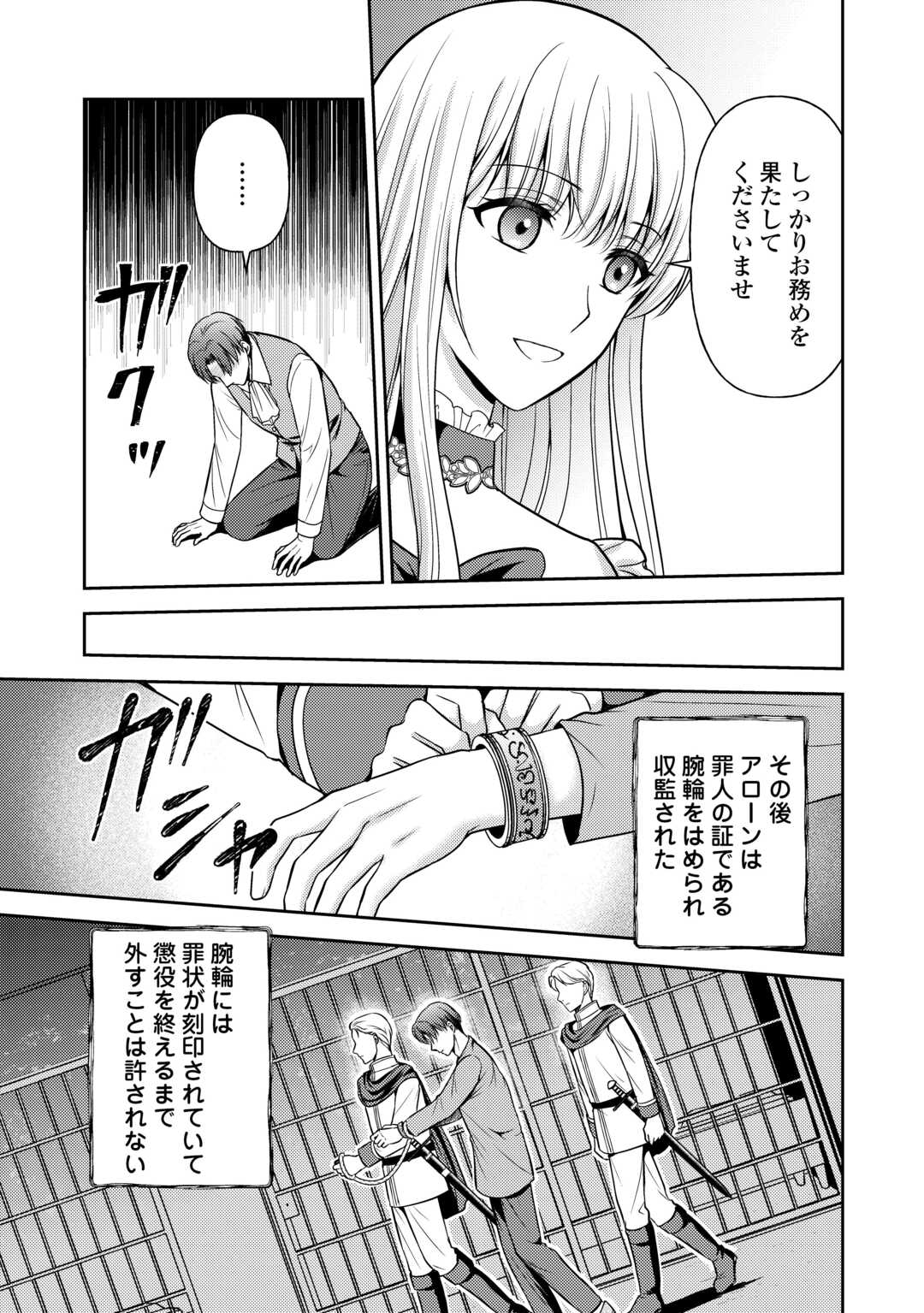 可愛い義妹が婚約破棄されたらしいので、今から「御礼」に参ります。 第11話 - Page 11