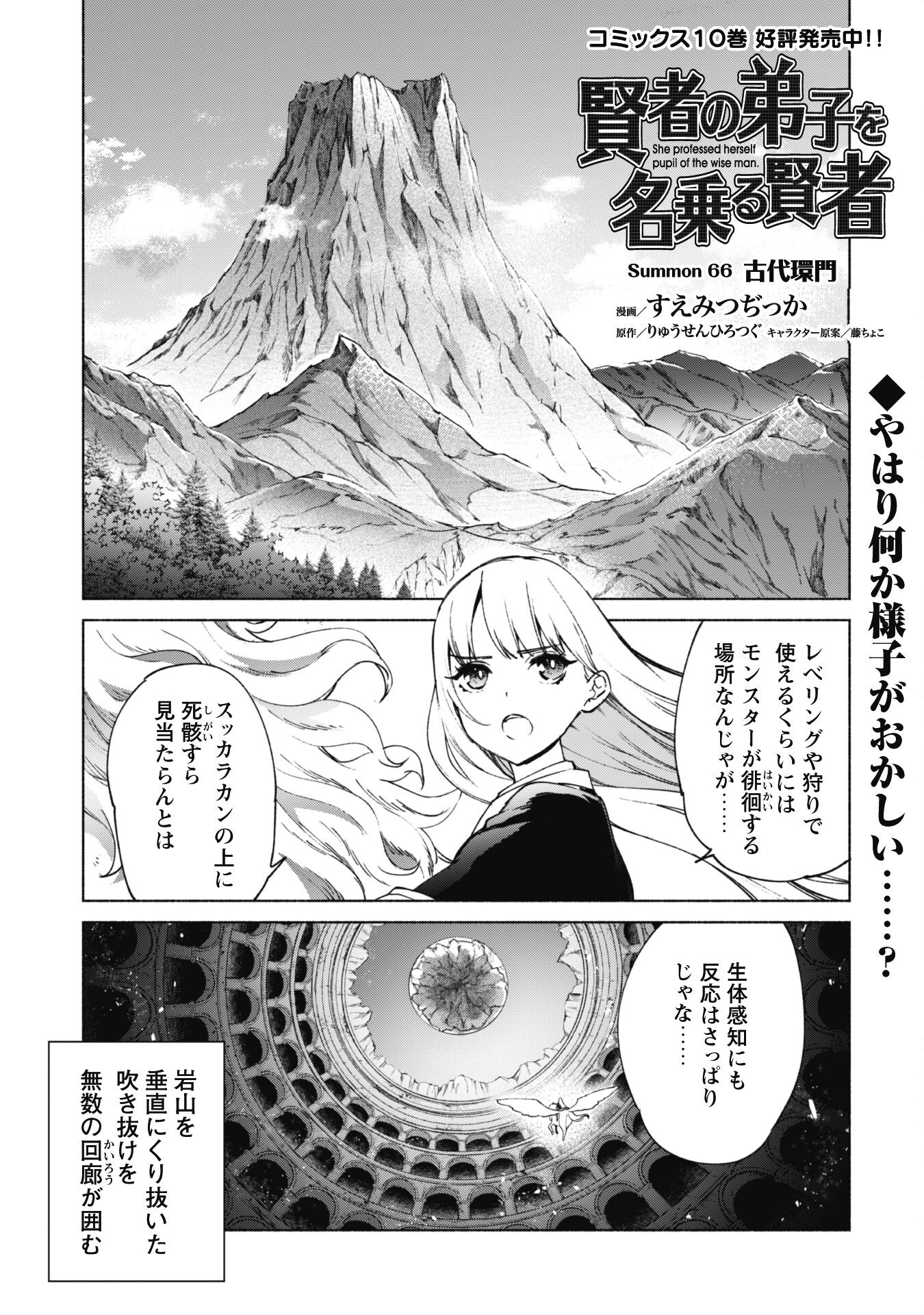 賢者の弟子を名乗る賢者 第66話 - Page 2