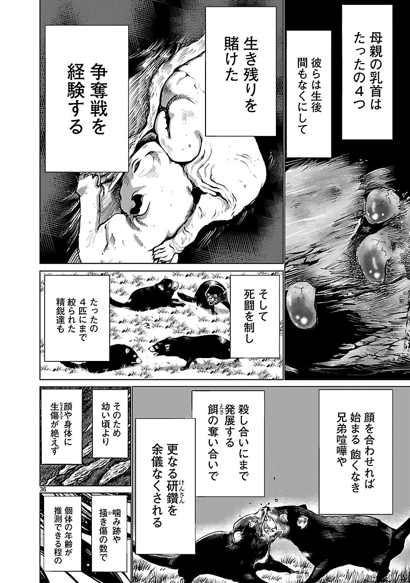 キリングバイツ 第36話 - Page 36