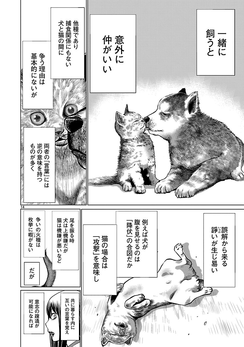 キリングバイツ 第39話 - Page 14