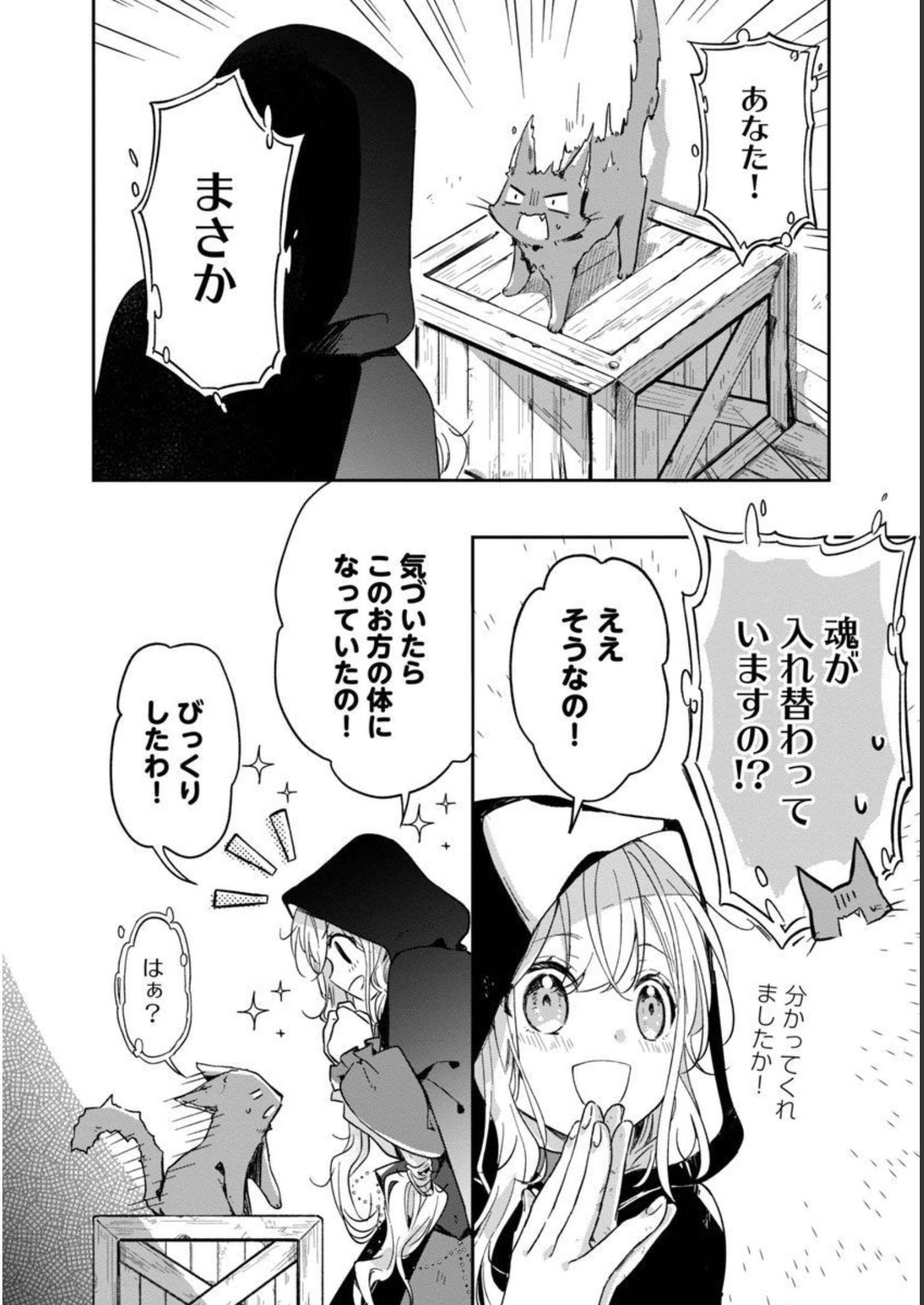 嫌われ魔女と体が入れ替わったけれど、私は今日も元気に暮らしています！ 第3話 - Page 7