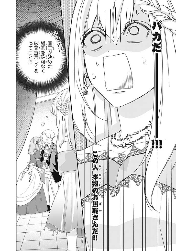 婚約破棄されたので、国の外れで錬金術姫になりました! 第1.3話 - Page 6