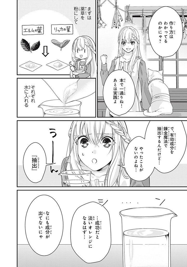 婚約破棄されたので、国の外れで錬金術姫になりました! 第4.1話 - Page 9