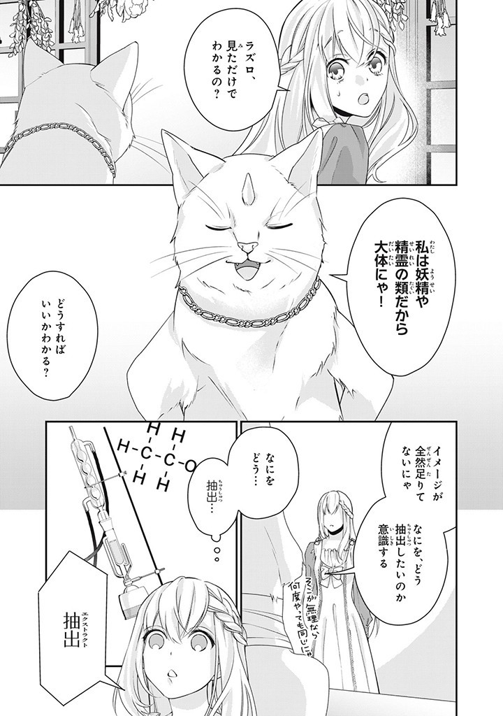 婚約破棄されたので、国の外れで錬金術姫になりました! 第4.1話 - Page 9