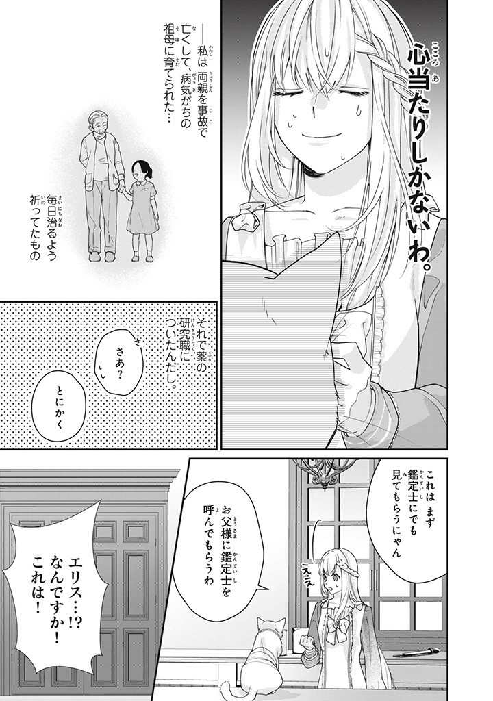 婚約破棄されたので、国の外れで錬金術姫になりました! 第4.2話 - Page 3