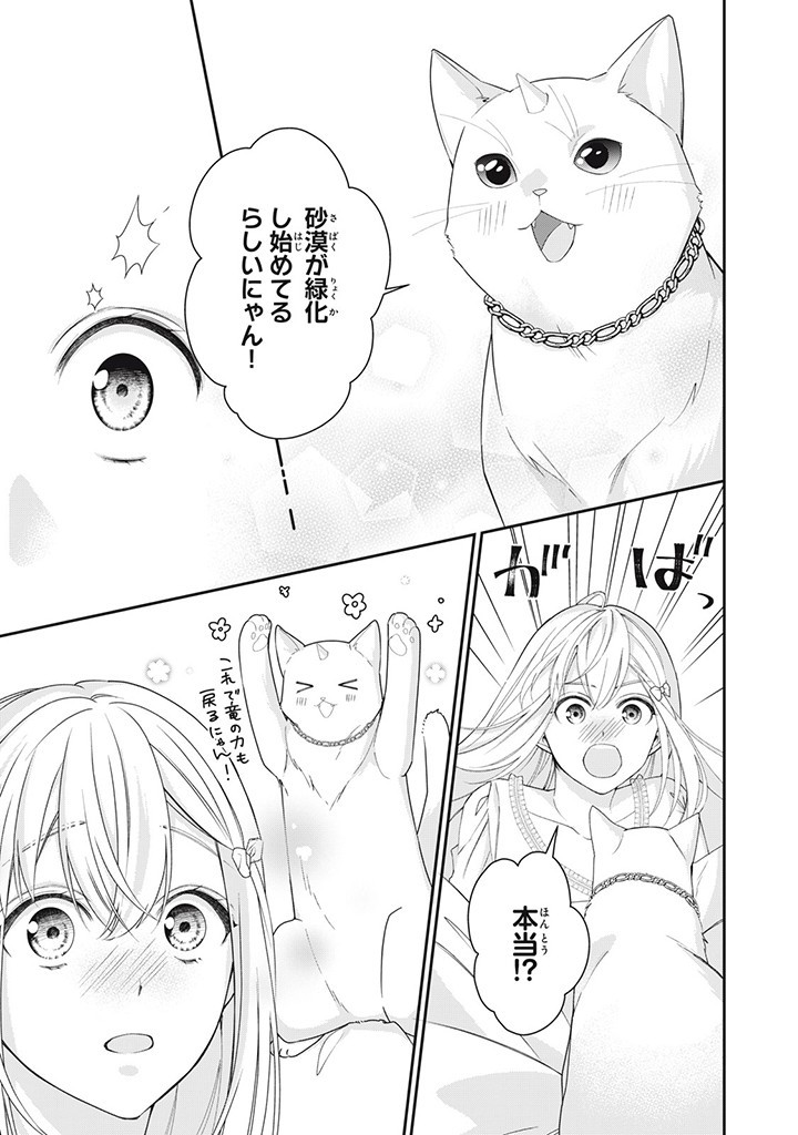 婚約破棄されたので、国の外れで錬金術姫になりました! 第6.1話 - Page 10