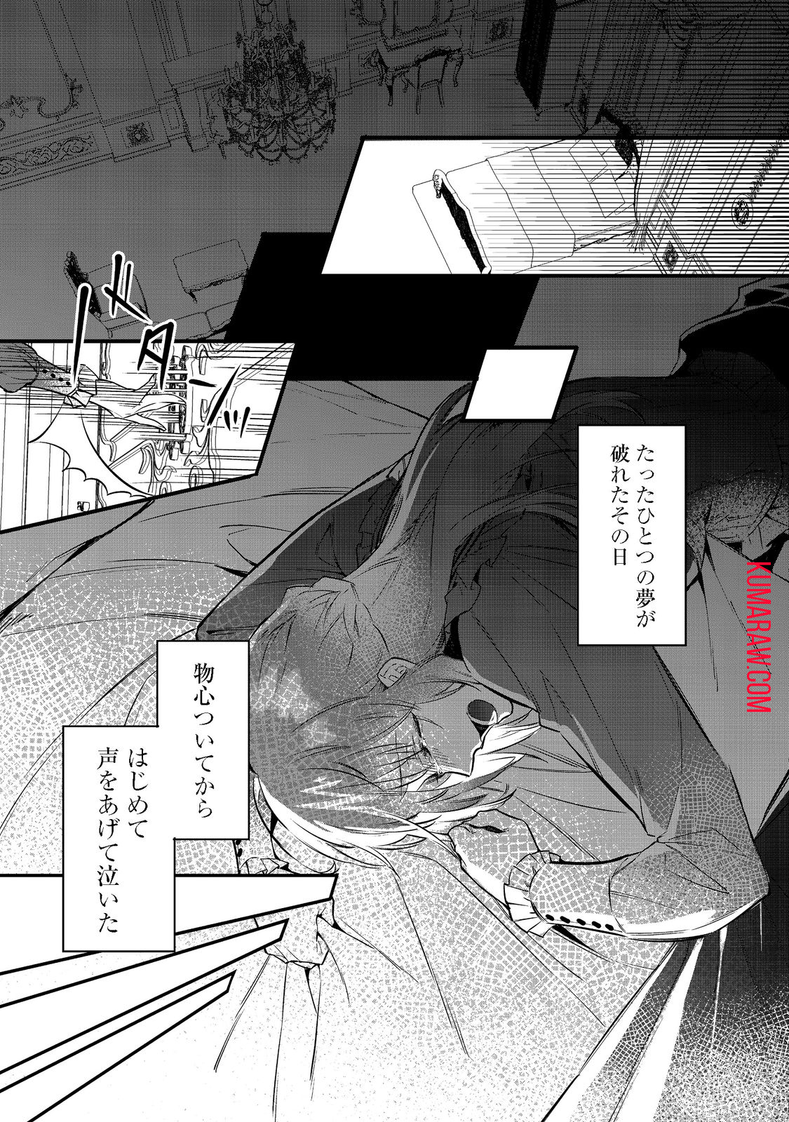 婚約破棄された替え玉令嬢、初恋の年上王子に溺愛される 第1話 - Page 15