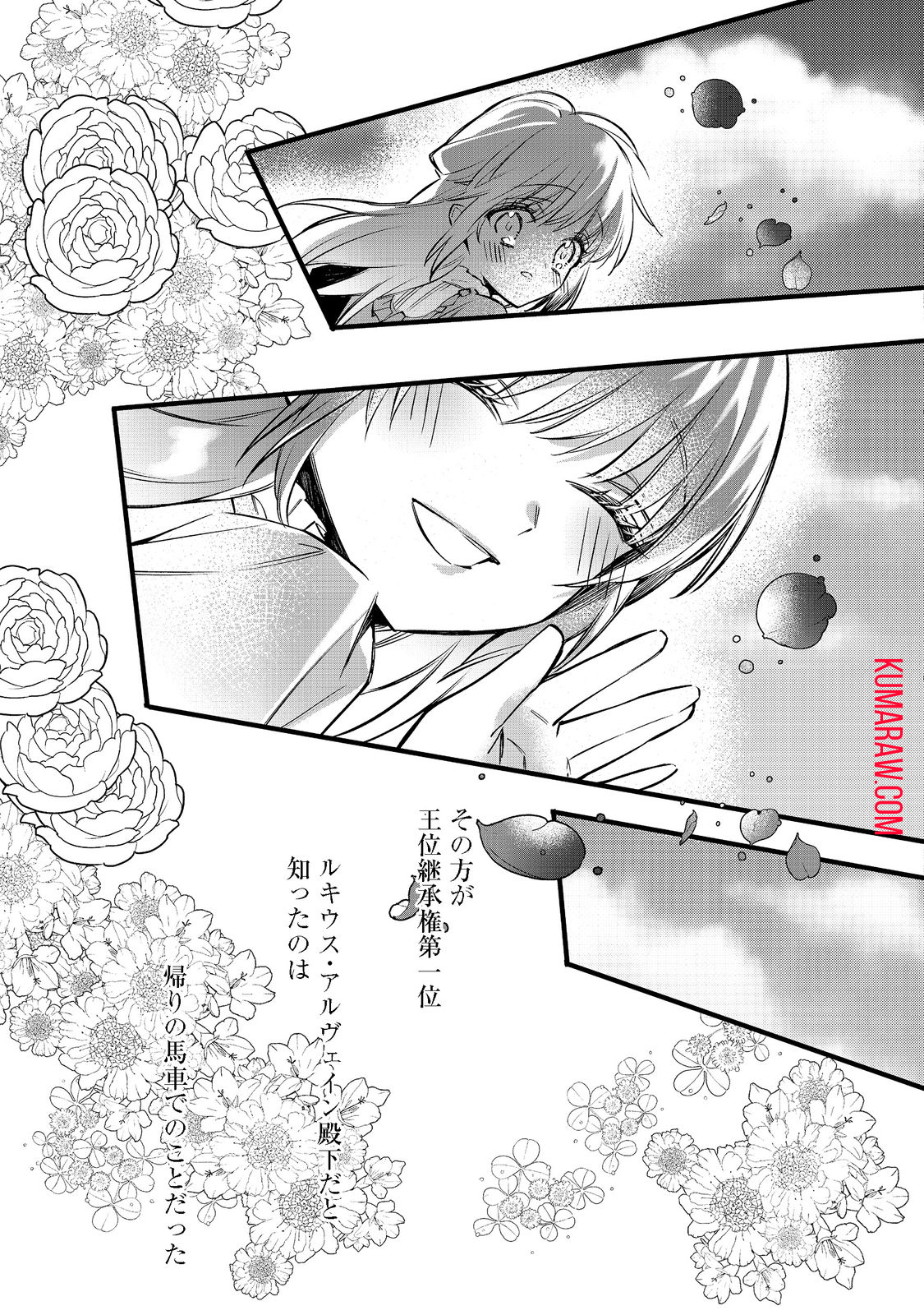 婚約破棄された替え玉令嬢、初恋の年上王子に溺愛される 第1話 - Page 45