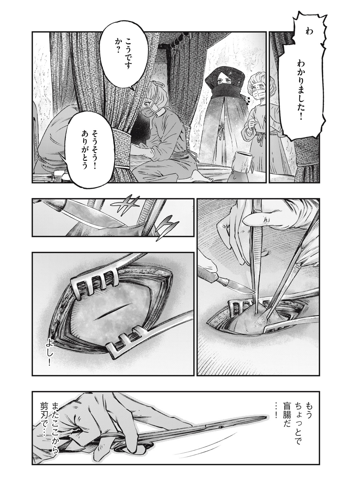 高度に発達した医学は魔法と区別がつかない 第17.2話 - Page 13