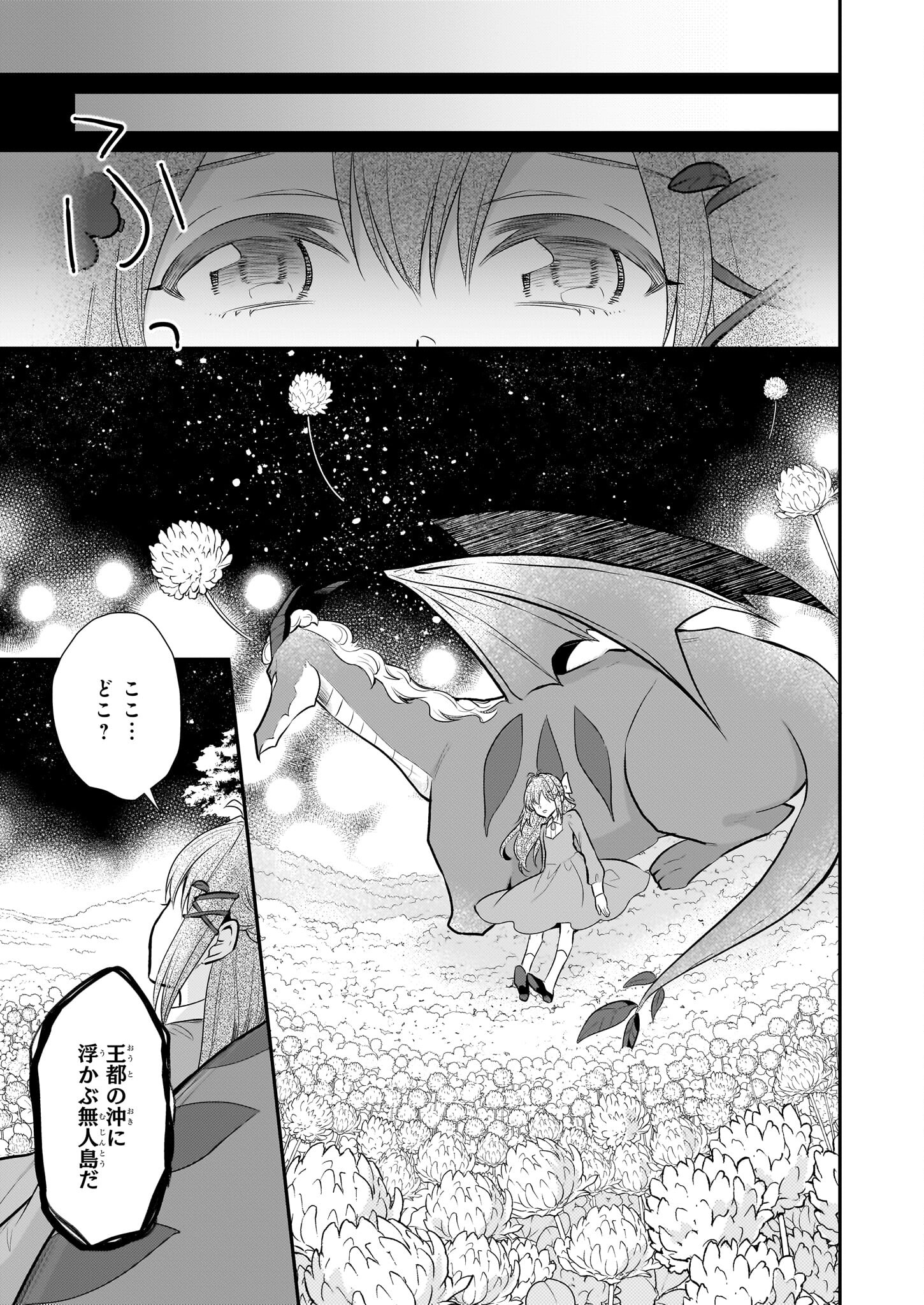 草魔法師クロエの二度目の人生 自由になって子ドラゴンとレベルMAX薬師ライフ 第17話 - Page 19