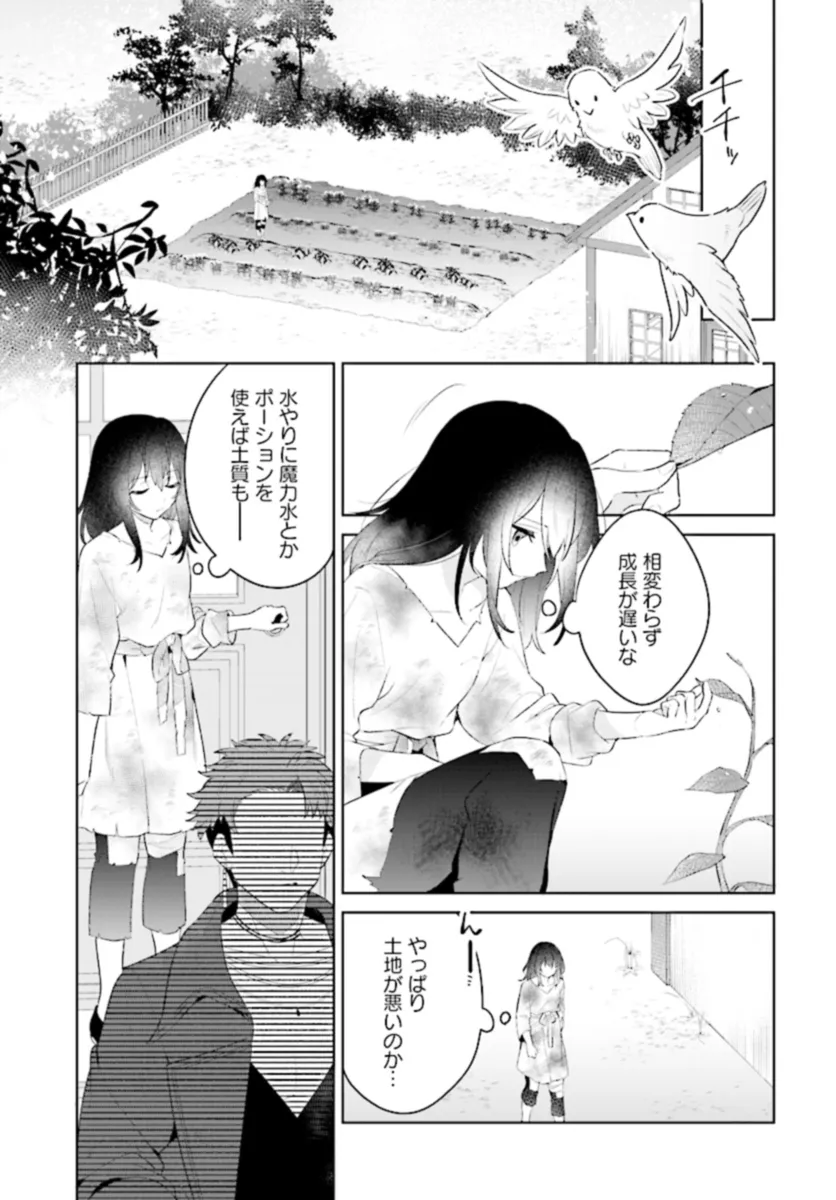 薬売りの聖女 ～冤罪で追放された薬師は、辺境の地で幸せを掴む～ 第1話 - Page 15