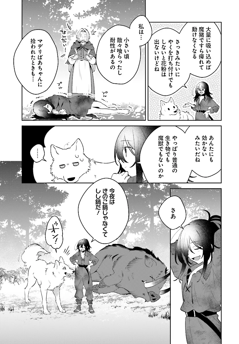 薬売りの聖女 ～冤罪で追放された薬師は、辺境の地で幸せを掴む～ 第4.1話 - Page 13