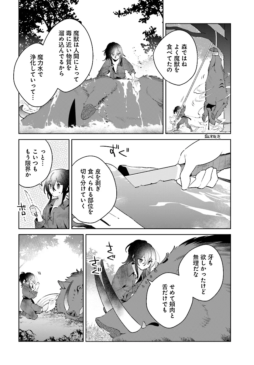 薬売りの聖女 ～冤罪で追放された薬師は、辺境の地で幸せを掴む～ 第4.1話 - Page 14