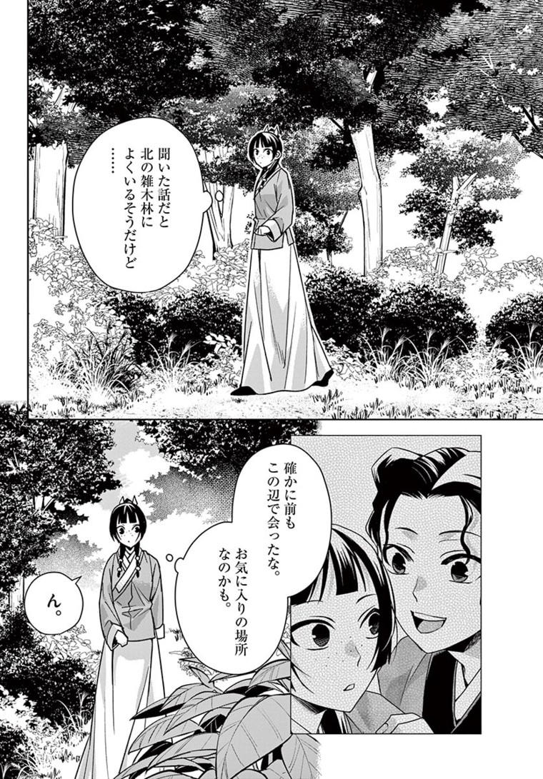 薬屋のひとりごと～猫猫の後宮謎解き手帳～ The Apothecarys Monologue (KURATA Minoji) 第44.1話 - Page 11