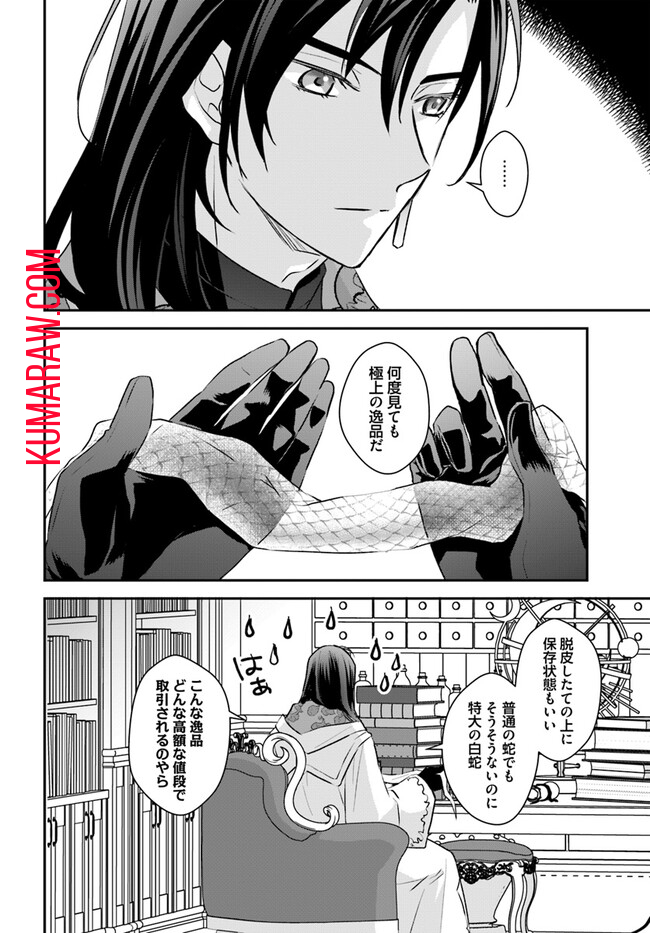 宮廷魔術師の婚約者 第13.1話 - Page 3