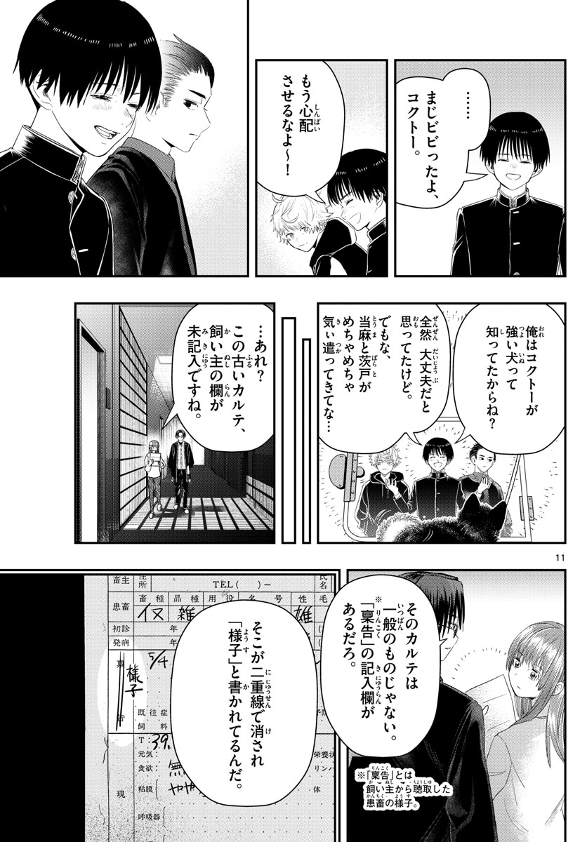 ラストカルテ-法獣医学者当麻健匠の記憶- 第25話 - Page 11