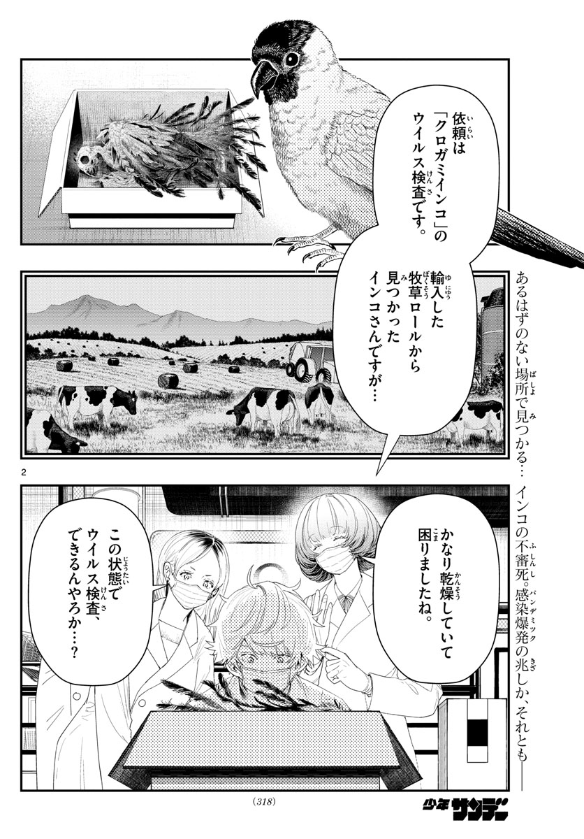 ラストカルテ-法獣医学者当麻健匠の記憶- 第34話 - Page 2