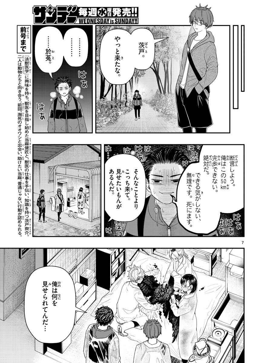 ラストカルテ-法獣医学者当麻健匠の記憶- 第41話 - Page 7