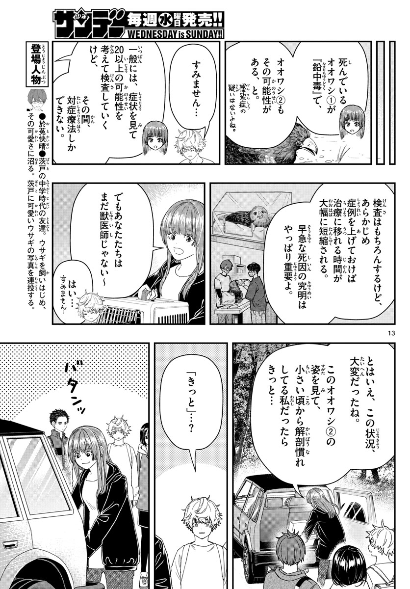 ラストカルテ-法獣医学者当麻健匠の記憶- 第41話 - Page 13