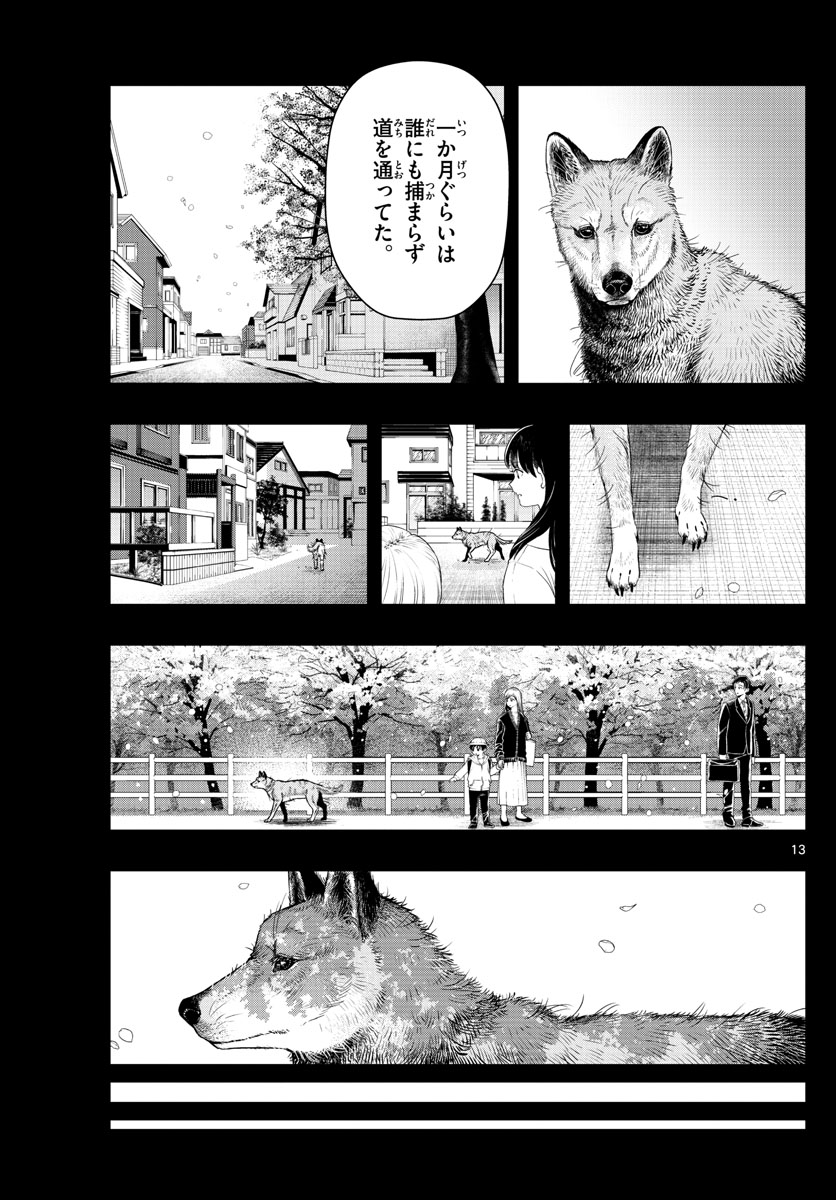 ラストカルテ-法獣医学者当麻健匠の記憶- 第47話 - Page 13