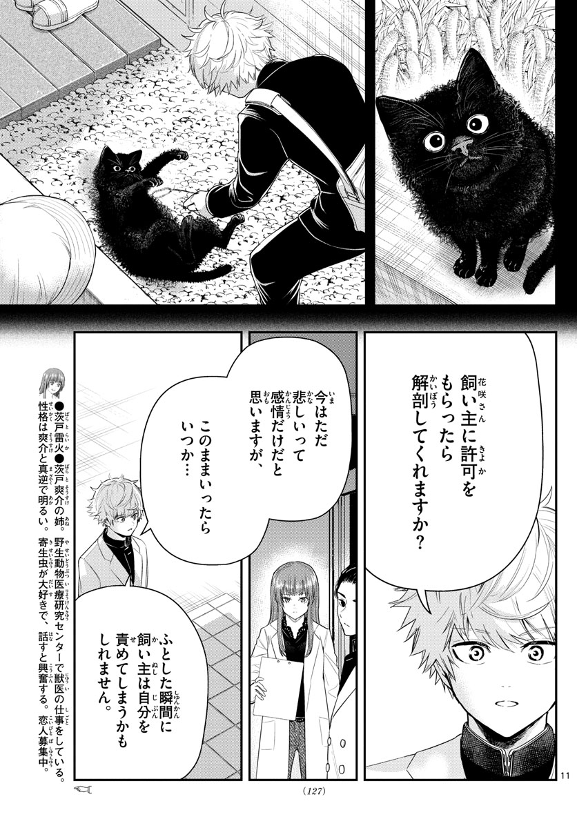 ラストカルテ-法獣医学者当麻健匠の記憶- 第5話 - Page 11