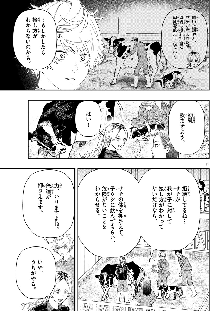 ラストカルテ-法獣医学者当麻健匠の記憶- 第54話 - Page 11